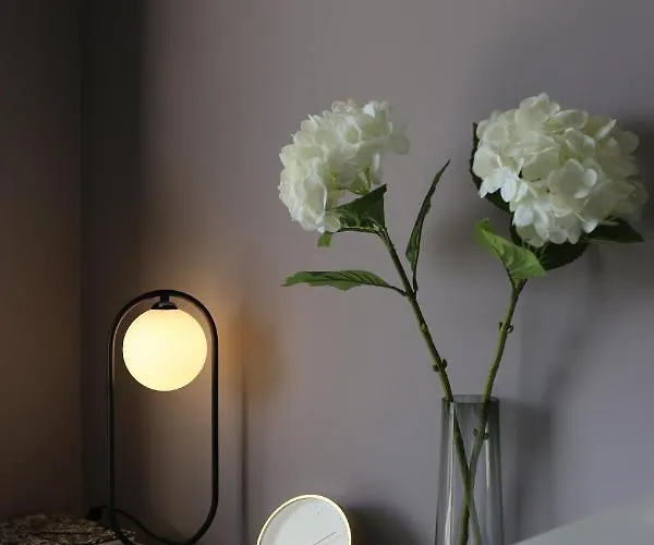 Ambassador Appartement